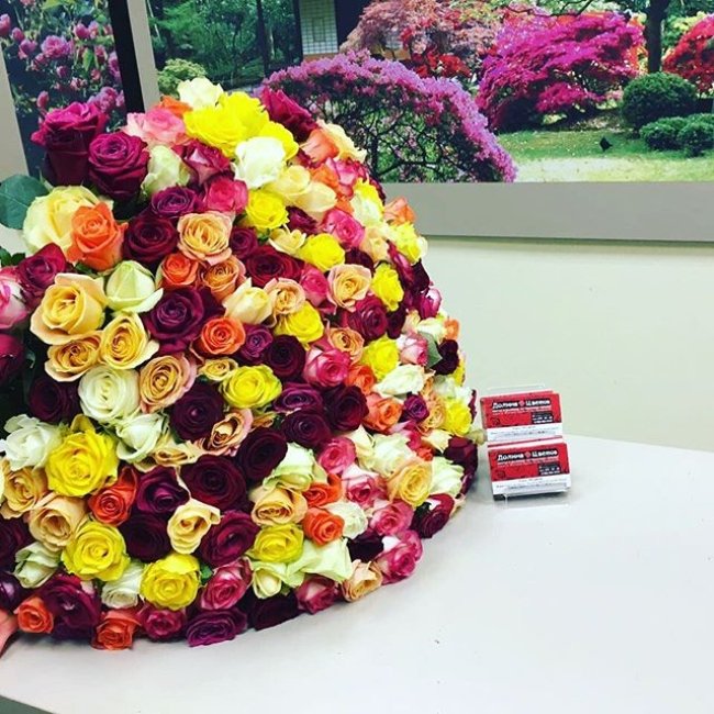 Букет из 301 розы (микс). Высота 50 см