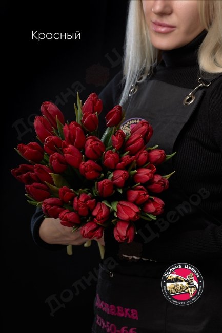 Тюльпан Красный