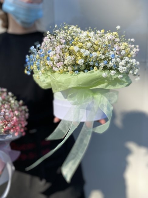 Коробка с гипсофилой