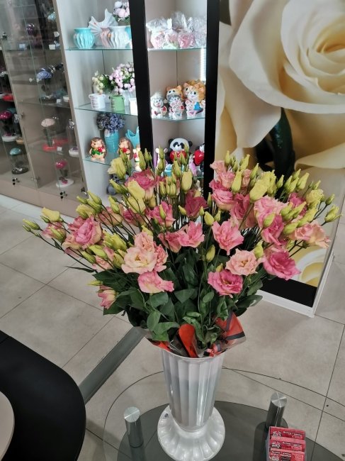 Эустома шампань.