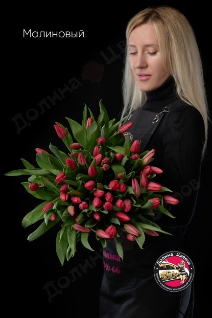 Тюльпан Малиновый