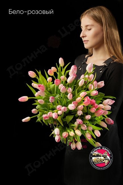 Тюльпан Бело-розовый