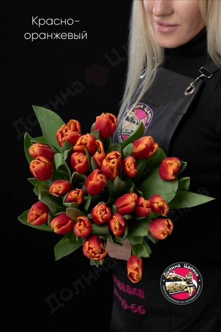Тюльпан Красно-оранжевый