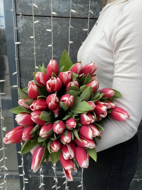 Тюльпан Розово белый