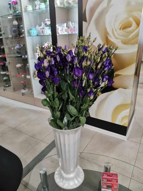 Эустома фиолетовая