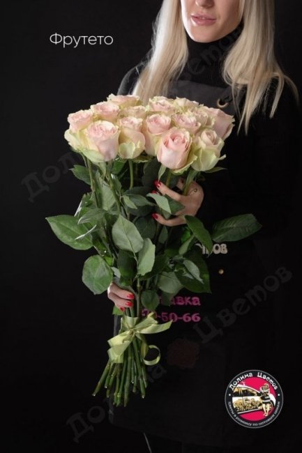 Розы Фрутето  (высота  70см)