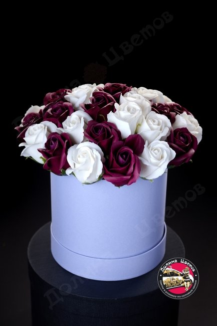 Мыльная роза (бордово белая)
