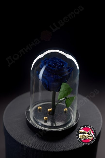 Роза в колбе синяя