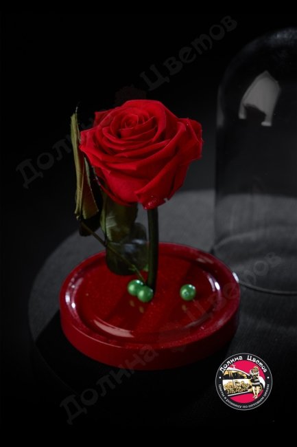 Роза в колбе красная
