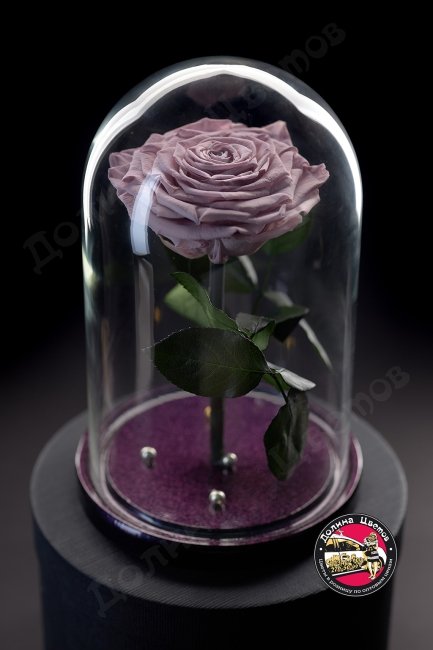 Роза в колбе сиреневая ПРЕМИУМ