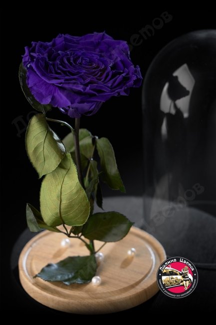 Роза в колбе фиолетовая ПРЕМИУМ