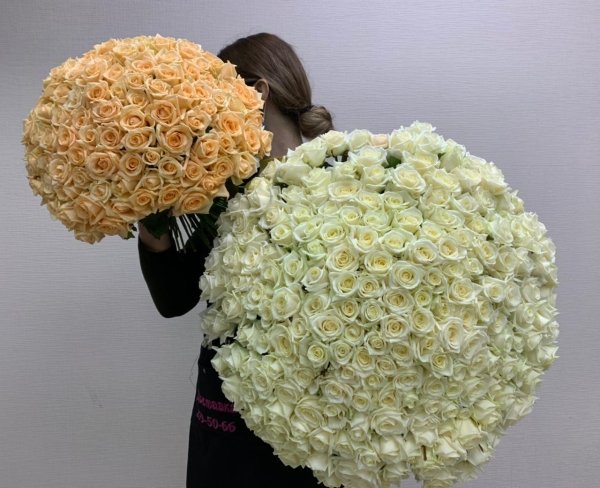 Букет на юбилей 201 роза (50см)