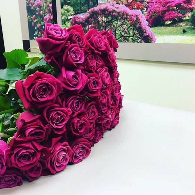 Роза Шангри Ла (розовая). Букет из 41 розы. Высота 50 см