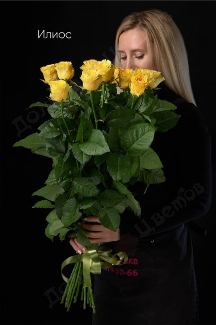 Букет из Розы Илиос  (высота  40см)