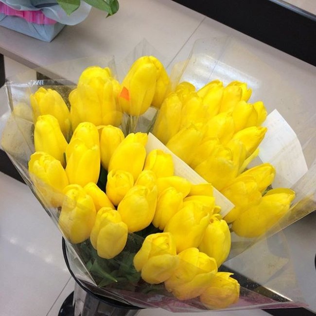 Букет из 101 тюльпана. желтый
