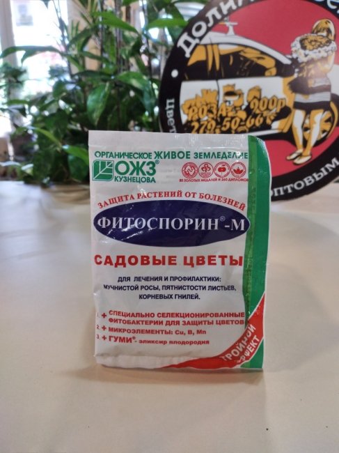 Уход: биопрепарат Фитоспорин-М 30 гр