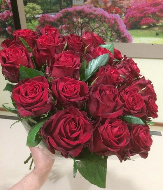 Роза Кон Аморе. Букет из 35 роз. Высота 40 см