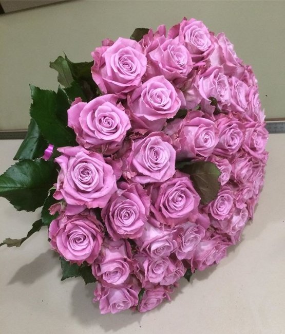 Роза Маритим. Букет из 25 роз. Высота 70 см