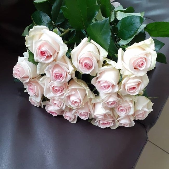 Роза Свит Ревиваль. Букет из 21 розы. Высота 60 см