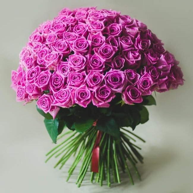 Роза Аква (розовая). Букет из 75 роз. Высота 60 см