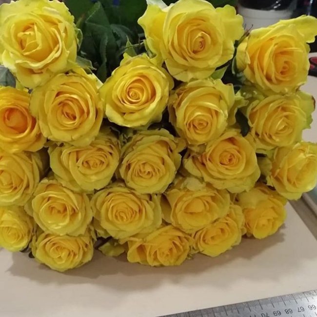 Роза Пени Лейн (желтая). Букет из 21 розы. Высота 50 см