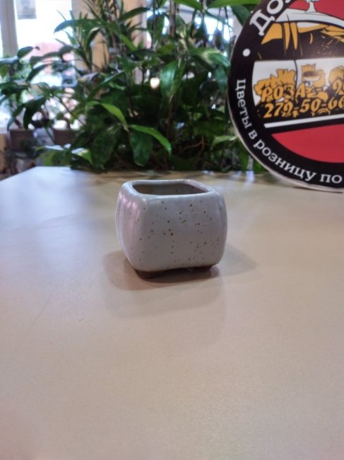 Вазоны. Вазон «Куб» 6*5 см, бежевый