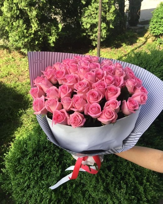 Роза Ревиваль (розовая). Букет из 51 розы. Высота 60 см