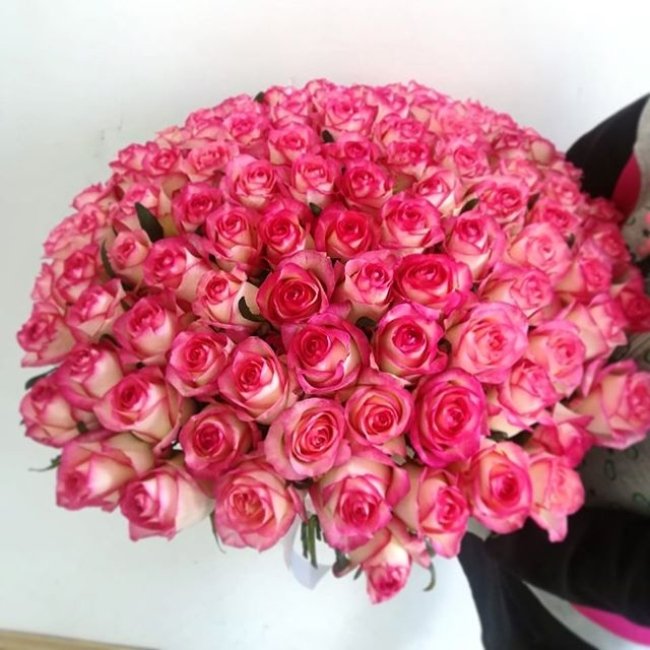Роза Джумилия. Букет из 101 розы. Высота 70 см