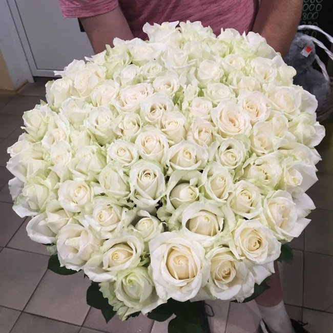 Роза Аваланж (белая). Букет из 75 роз. Высота 70 см
