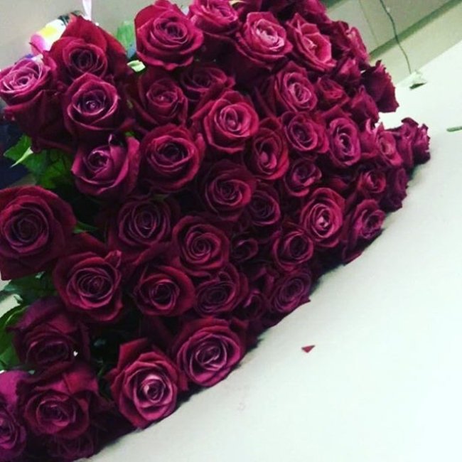 Роза Шангри Ла (розовая). Букет из 51 розы. Высота 50 см