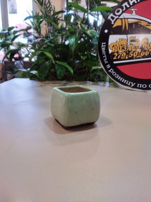 Вазоны. Вазон «Куб» 6*5 см, зеленый