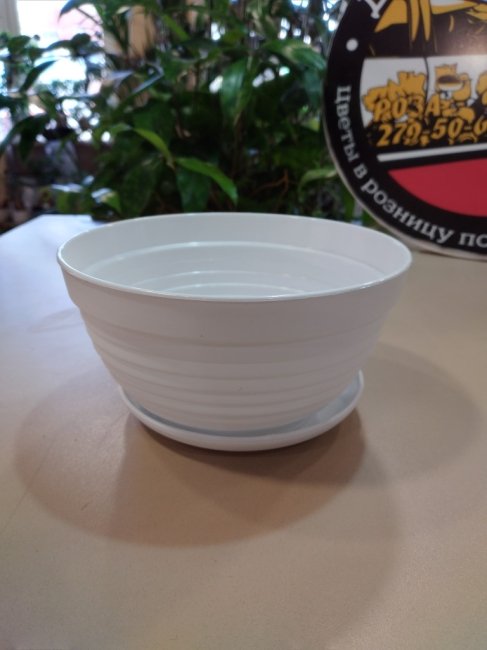 Горшок цвет. с поддон. «Алиса» 0,7 л, белый