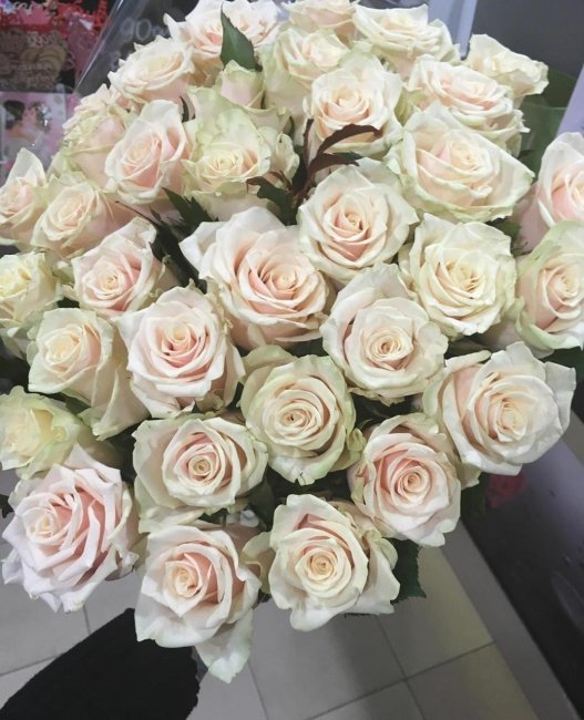 Роза Талея. Букет из 41 розы. Высота 70 см