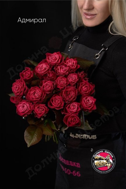 Букет из Розы Адмирал  (высота  40см)