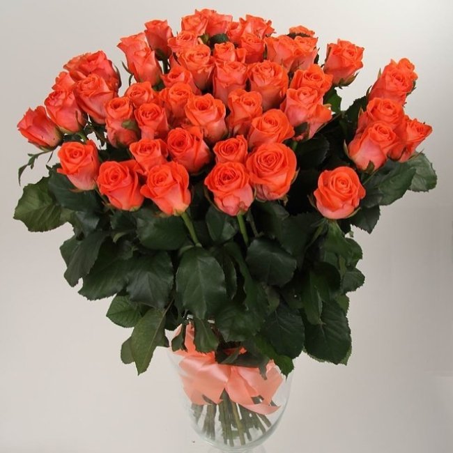 Роза Вау (оранжевая). Букет из 41 розы. Высота 70 см