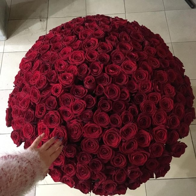 Роза Ред Наоми (красная). Букет из 201 розы. Высота 50 см