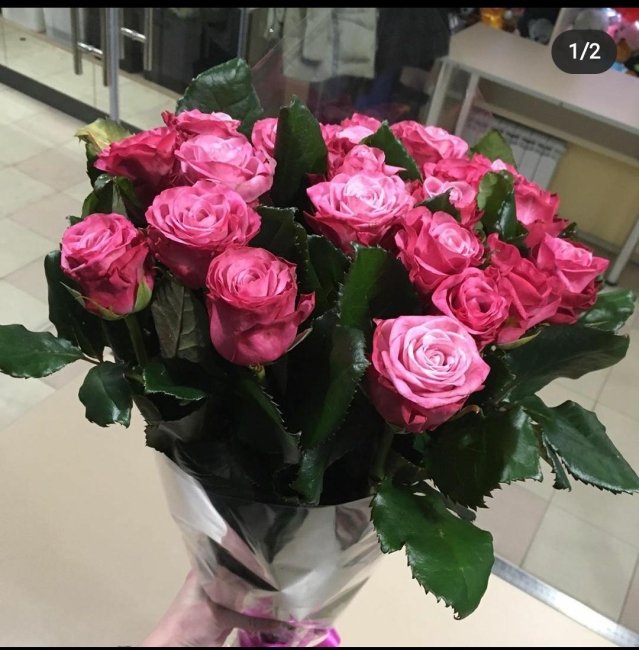 Роза Дип Вотер. Букет из 25 роз. Высота 70 см