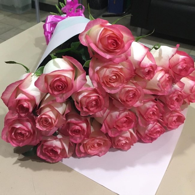 Роза Джумилия. Букет из 25 роз. Высота 50 см