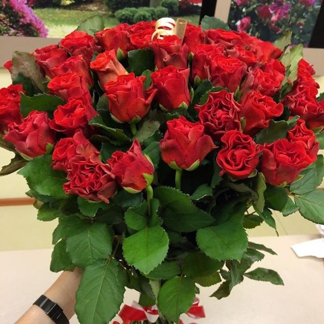 Роза Элторо (красная). Букет из 41 розы. Высота 70 см