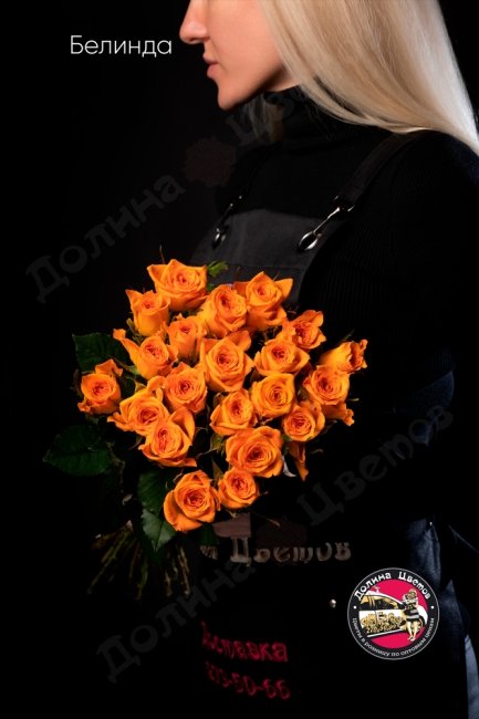 Букет из Розы Белинда  (высота  40см)
