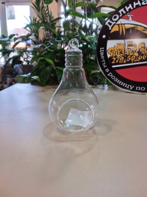 Флорариум размер лампочки на подвесе: д-5,5 см, 15*9 см