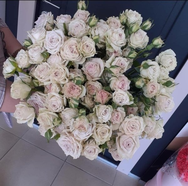 Букет из Розы Спрей Сильвер Рейн  (высота  40 см)